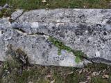 image of grave number 938264
